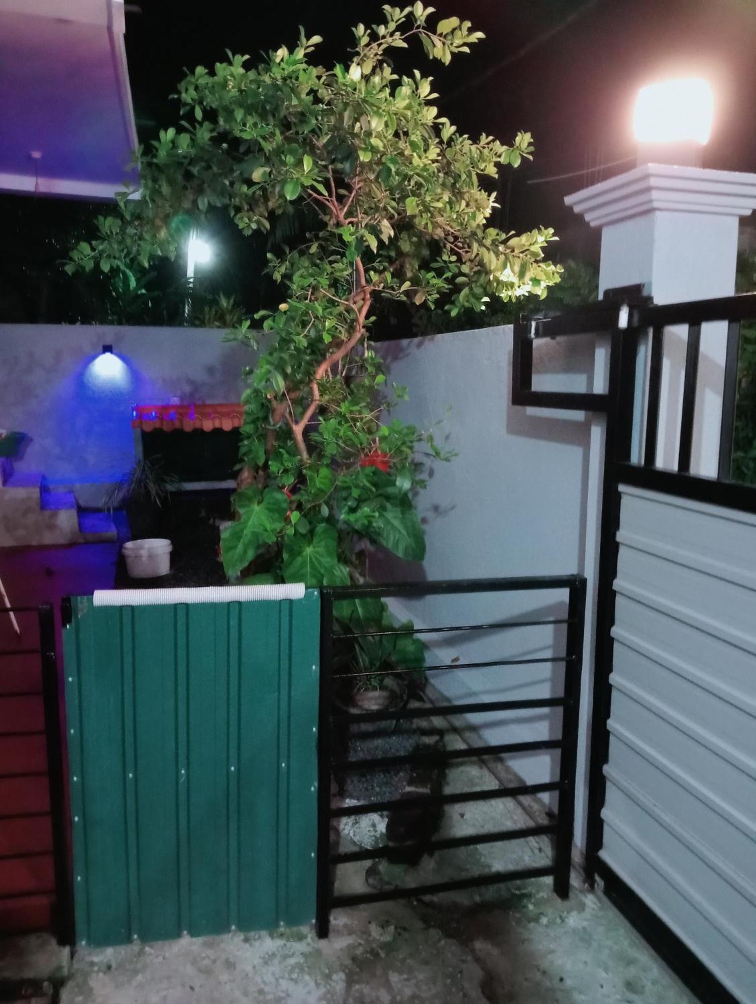 Great Yeheni Villa Hikkaduwa Bagian luar foto